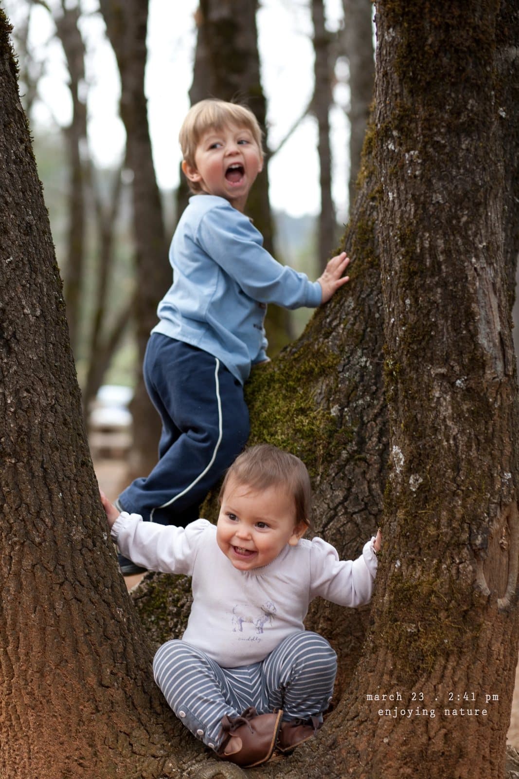 A toddler and a laughing baby perch in the fork of a tree, captioned enjoying nature.