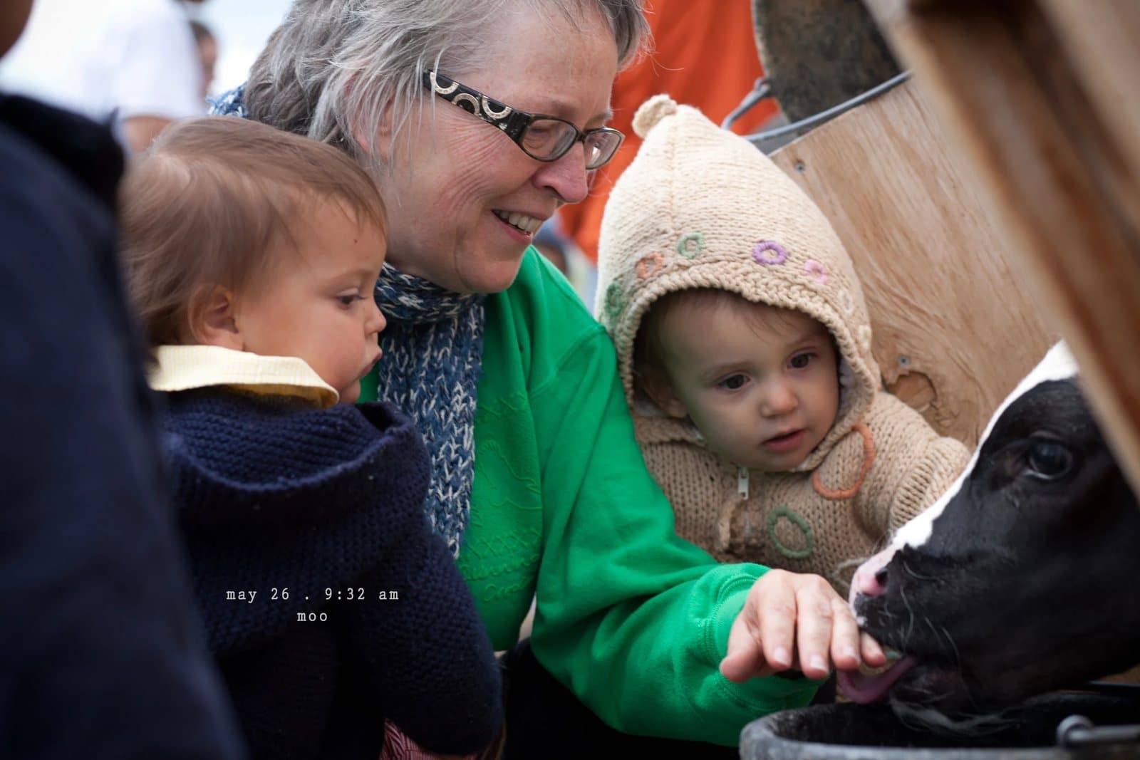 A woman and two small children pet a black and white calf, captioned moo.