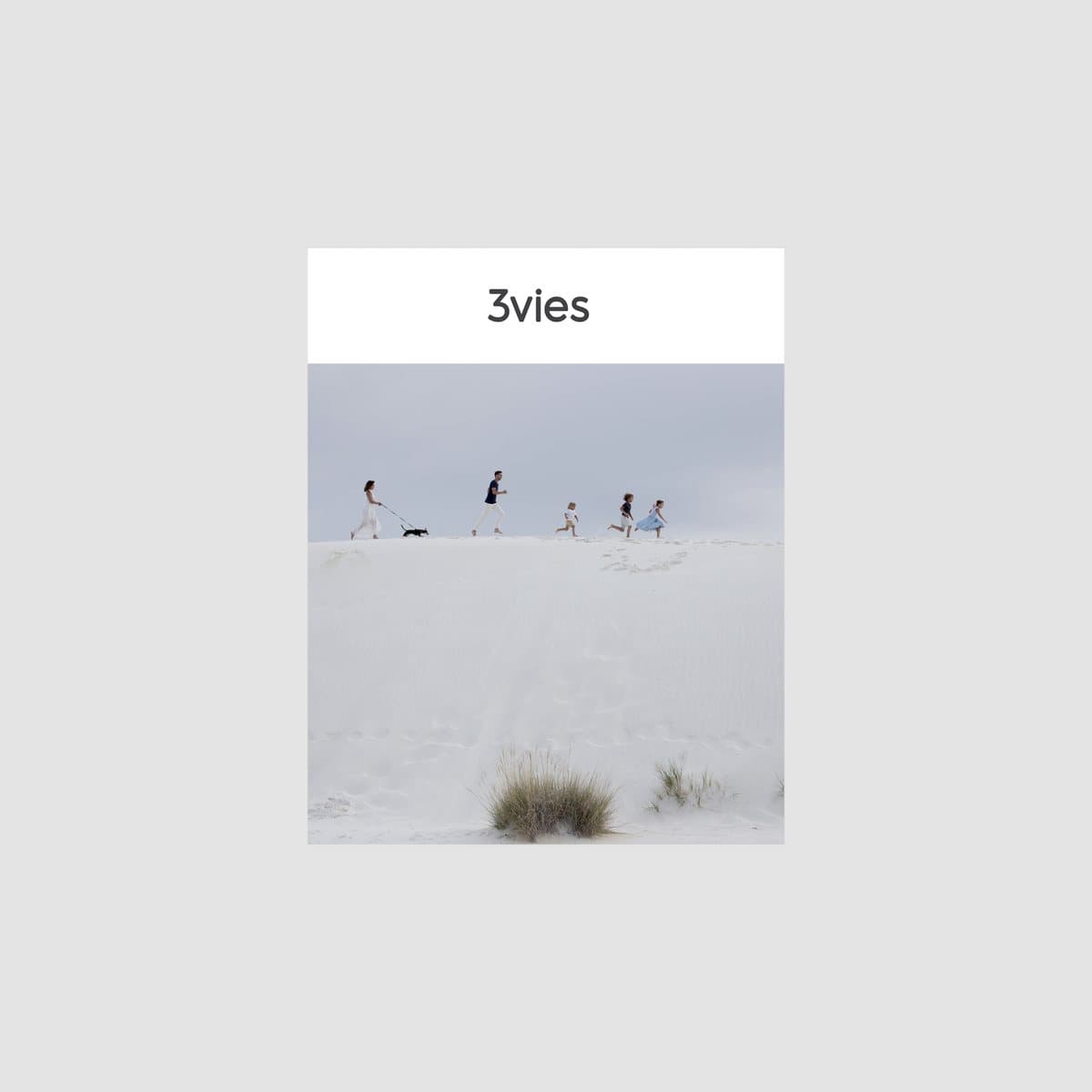 Cover of 3vies Volume 32, a family and their dog running along the crest of a white sand dune.