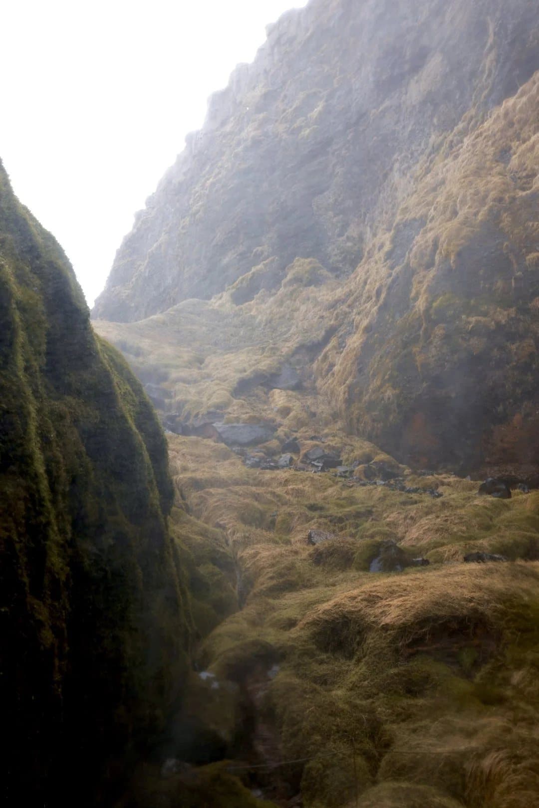 A misty, moss-covered canyon with steep green walls fading into fog.