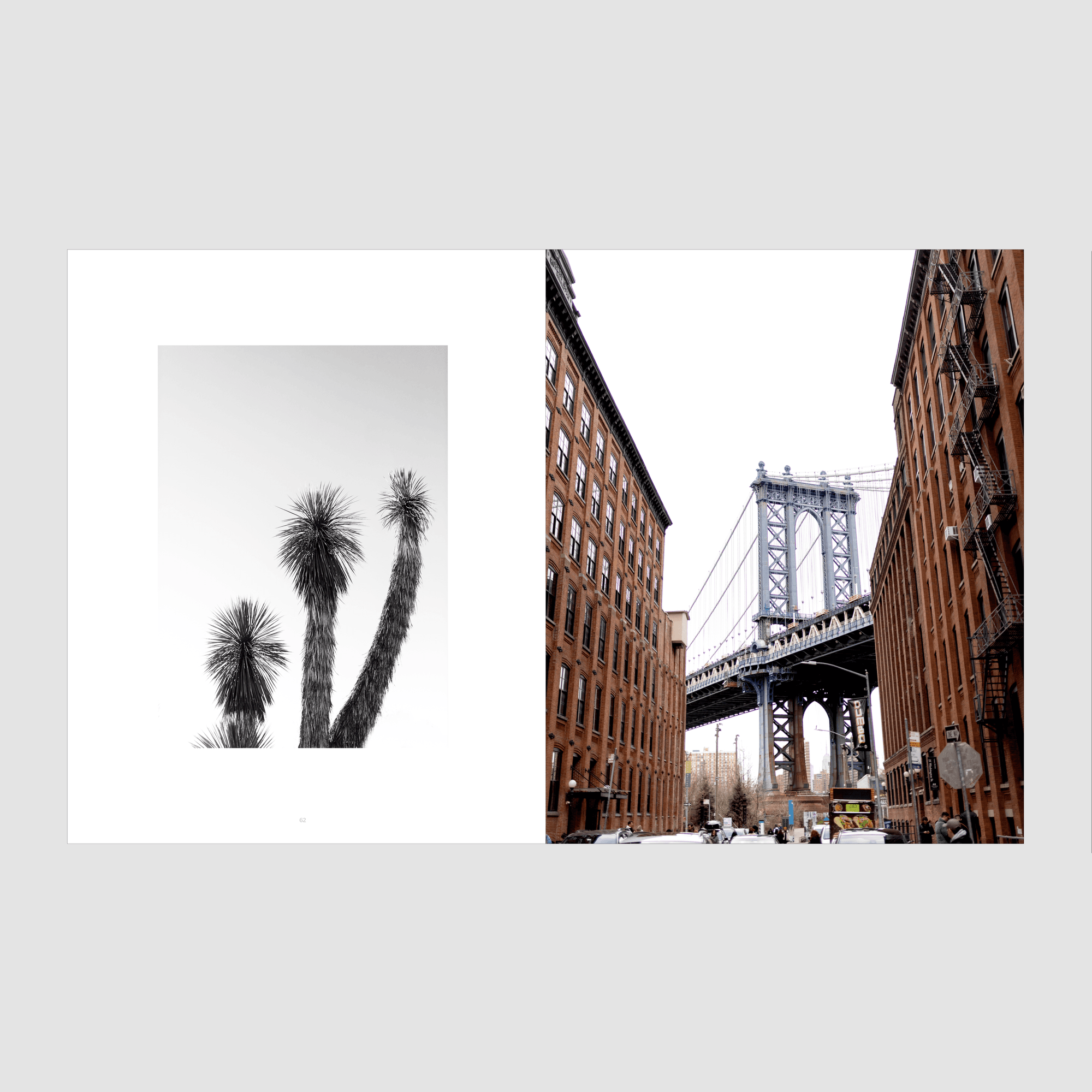 A 3vies magazine spread pairing black and white palm trees with the Manhattan Bridge framed by brick buildings.