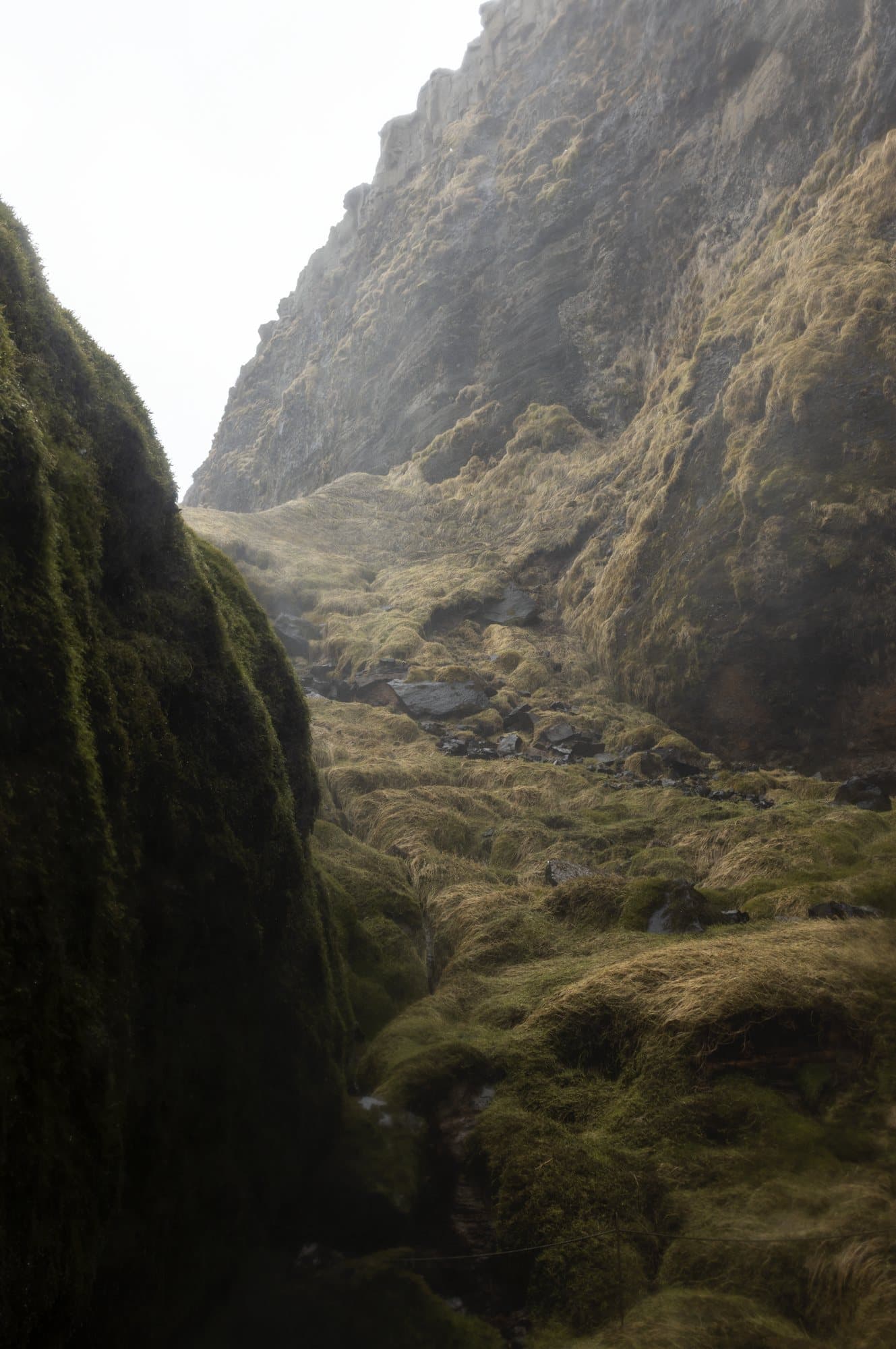 Photo handout of a mossy green ravine between steep cliffs in Iceland.