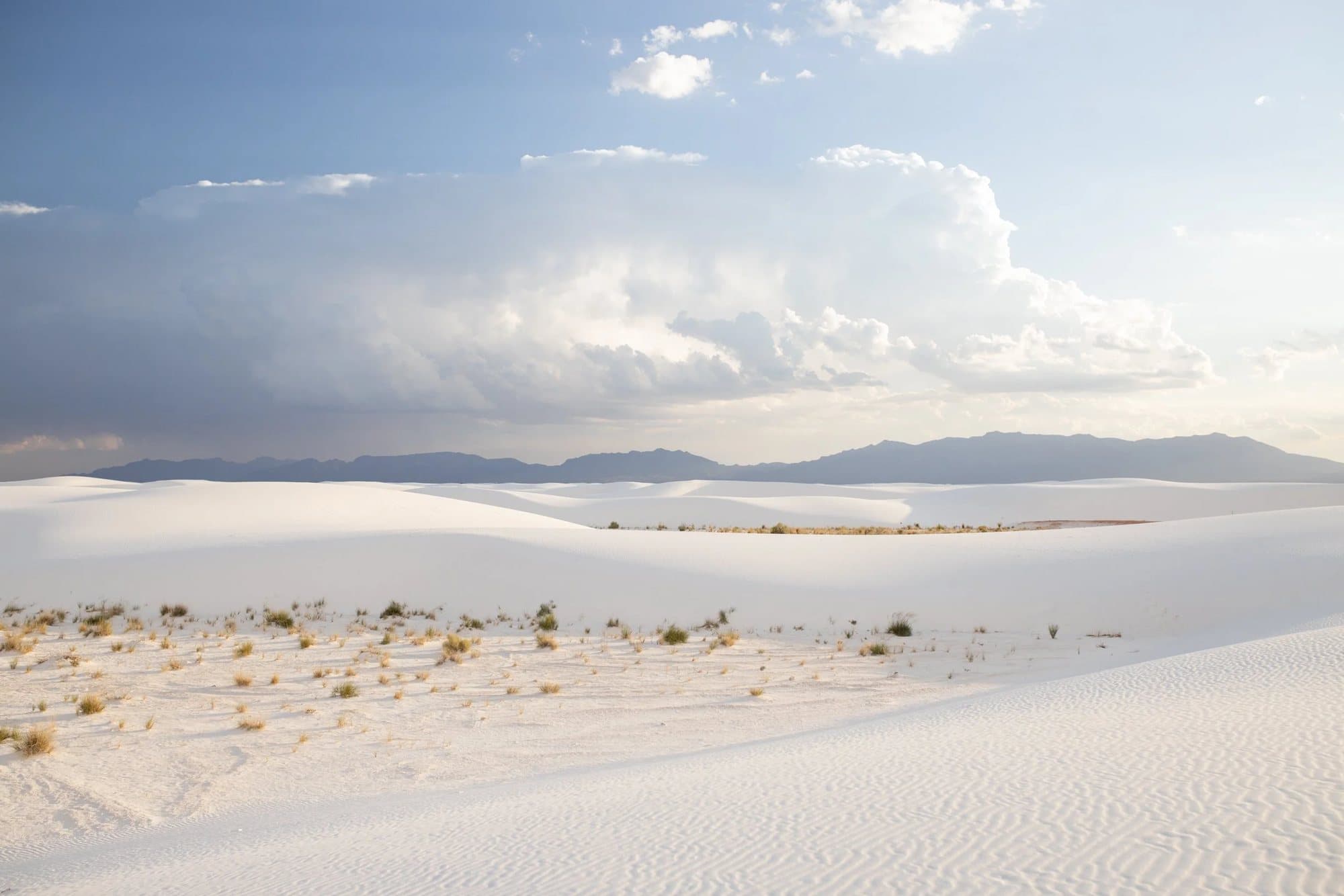 Photo handout of rolling White Sands dunes with scattered shrubs beneath towering clouds.