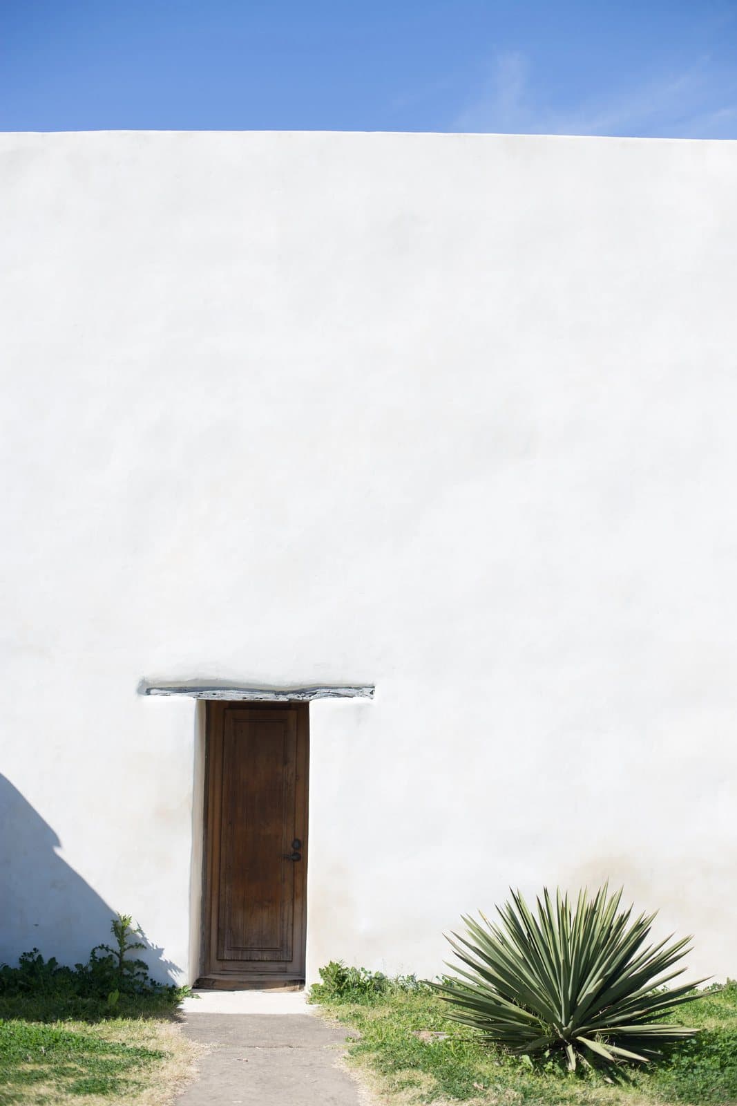 A weathered wooden door set in a tall whitewashed wall, with an agave plant beside it.