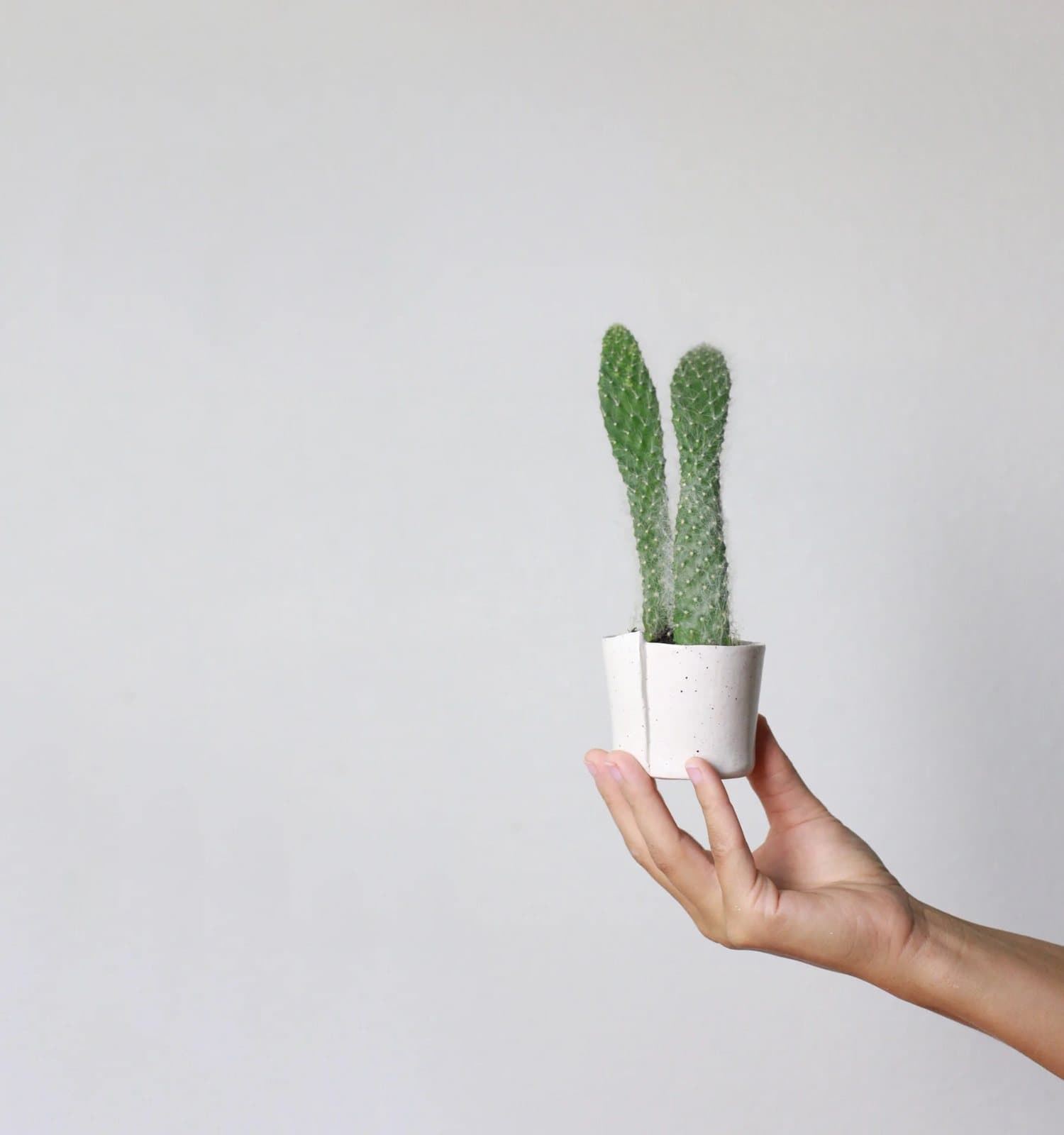 A hand holds a tiny potted cactus against a plain white background.
