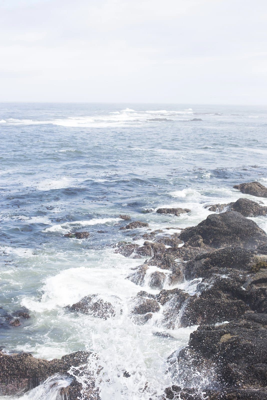 Waves crash over dark rocks along the Oregon coast under a soft gray sky.
