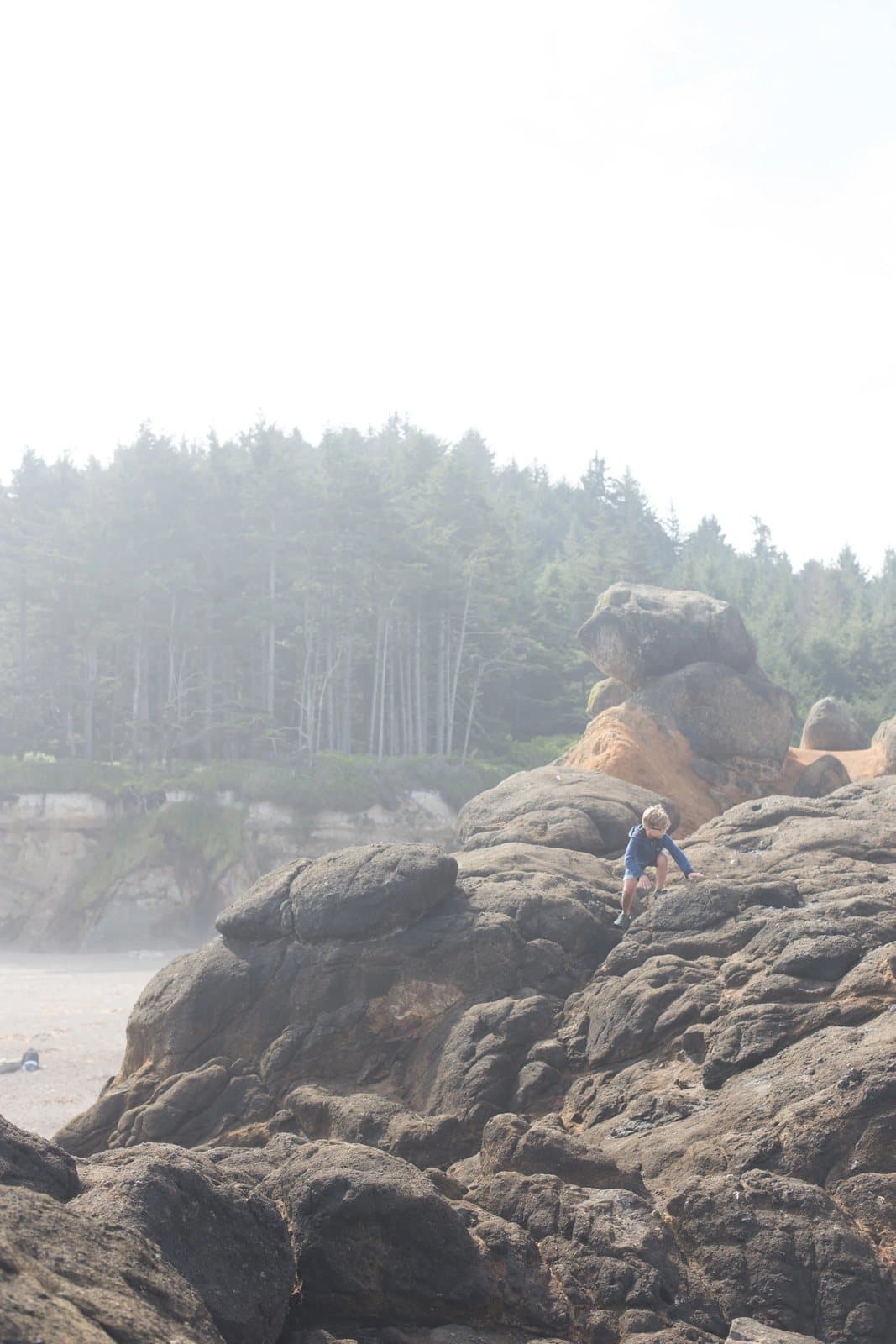 A small child climbs large coastal rocks with misty evergreens behind.